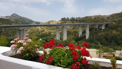 Apartamento Parque Botanico Resort & Country Club