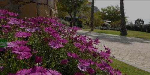 Apartamento Parque Botanico Resort & Country Club