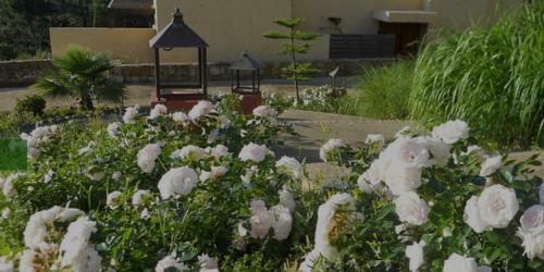 Apartamento Parque Botanico Resort & Country Club