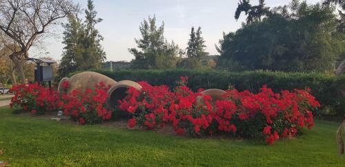 Apartamento Parque Botanico Resort & Country Club