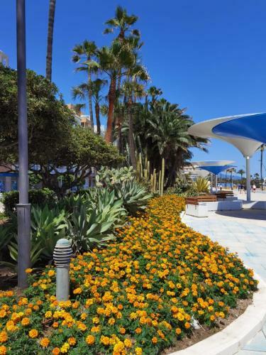 Apartamento Guadiana Sol