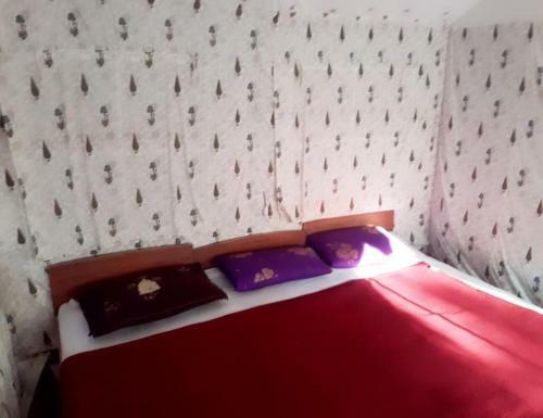 Tripthrill Ibbani Homestay