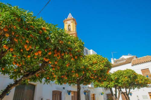 Apartamento Escape To Estepona