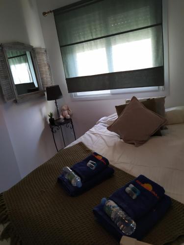 Apartamento Reina Sofia 45