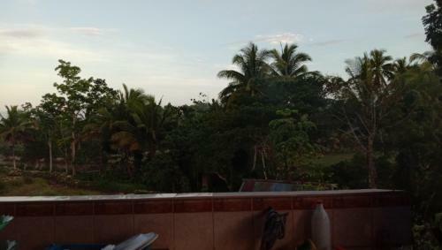 Fely's Homestay