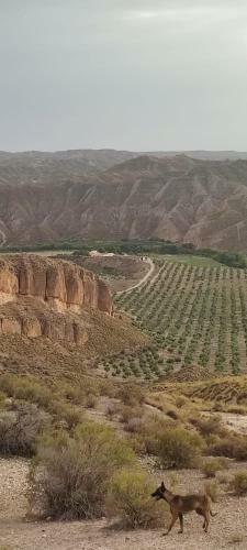 Villa Castillo Badlands