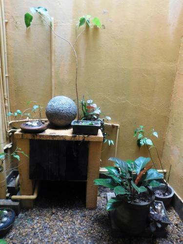 Bed & Breakfast Tricyclebnb & Cafe