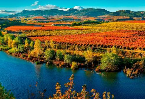 Apartamento Rioja & Vino