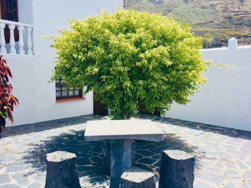 Casa Manuela 2