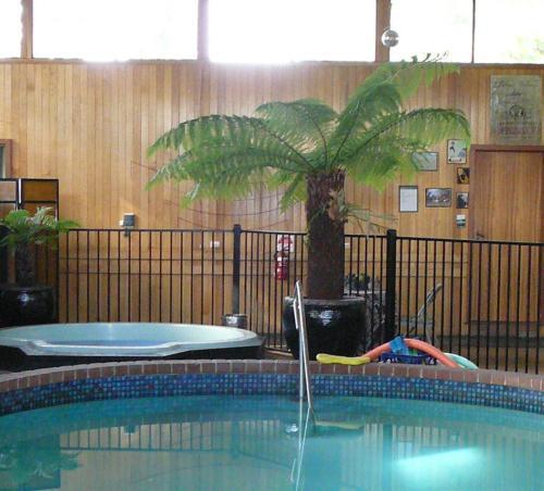 Motel Happy Days Accommodation