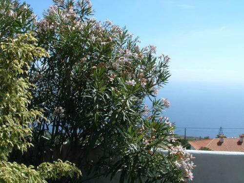 Agroturismo Casa Los Vi�edos B