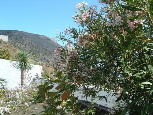 Agroturismo Casa Los Vi�edos B