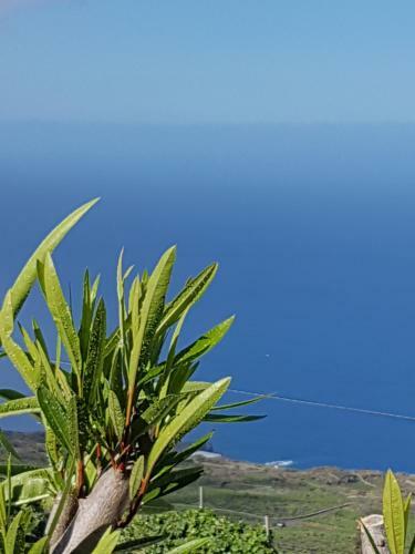 Agroturismo Casa Los Vi�edos B