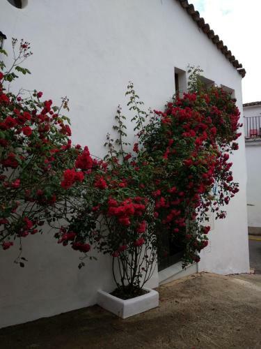 Casa Onuba