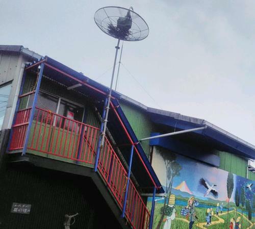 Hostal ?????????