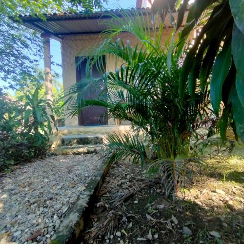 Hotel Tiger Tops Sauraha