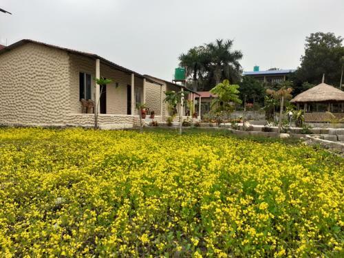 Hotel Tiger Tops Sauraha