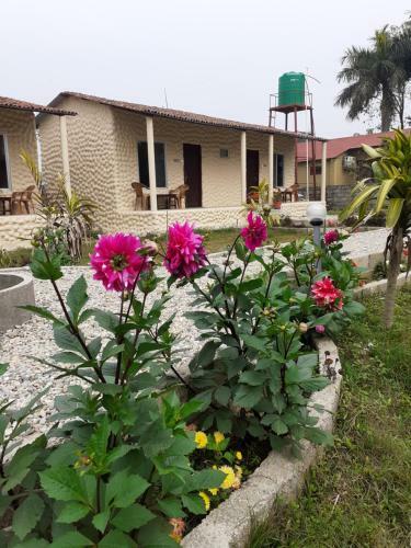 Hotel Tiger Tops Sauraha