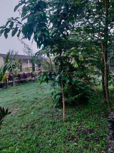 Hotel Tiger Tops Sauraha