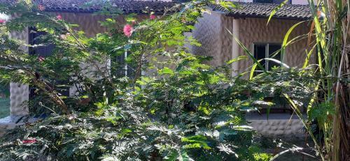 Hotel Tiger Tops Sauraha