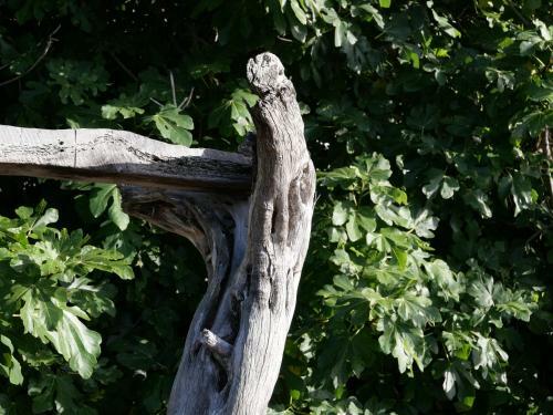 Casa Rural Los Llanillos