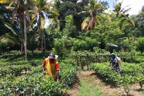 Apartamento Tara Garden Sri Lanka - Luxury Colonial Villa