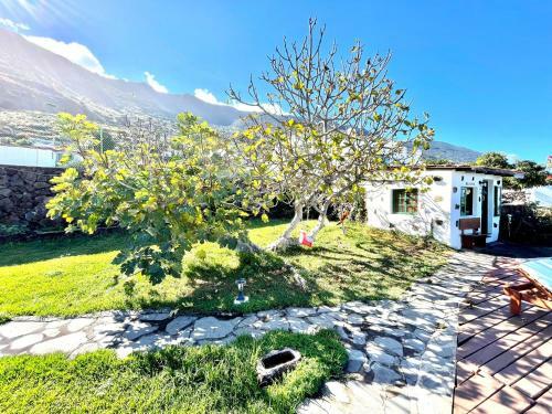 Apartment In Rural House With Wifi And Ocean View