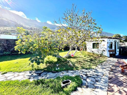Apartment In Rural House With Wifi And Ocean View