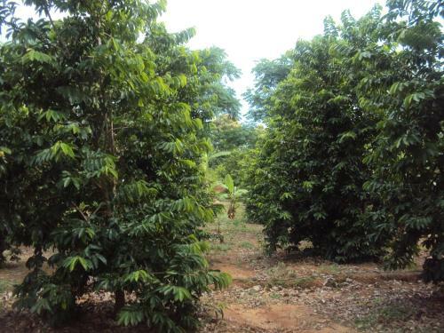 Agroturismo Nebula Farm House