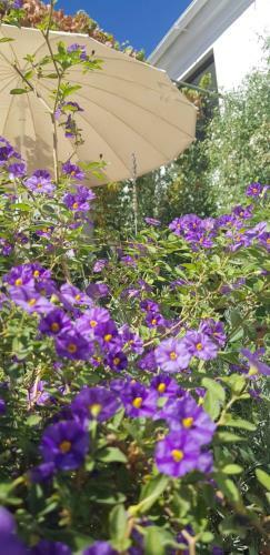 Bed & Breakfast Casa Rural Los Danzantes