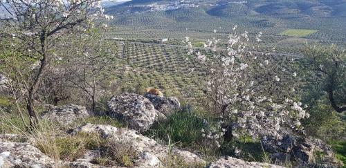 Bed & Breakfast Casa Rural Los Danzantes