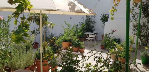 Bed & Breakfast Casa Rural Los Danzantes
