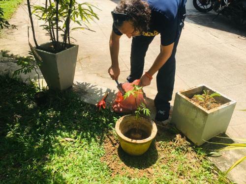 Little Home Stay Dambulla