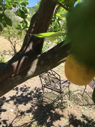 Wundersch�ne Ruhige Finca Mit Pool In Galilea