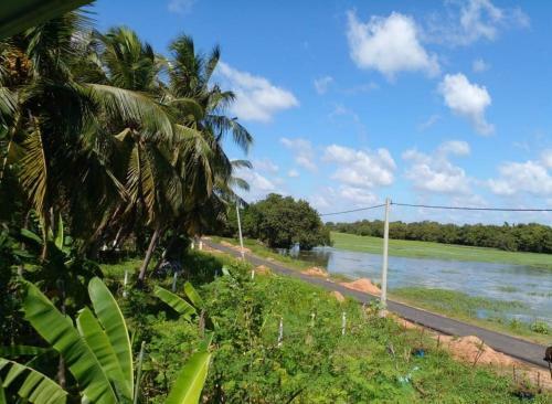 Lake Edge Dambulla