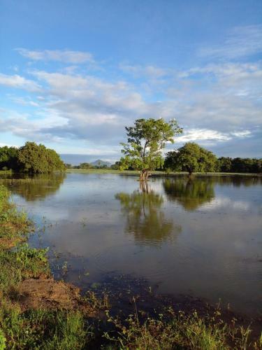 Lake Edge Dambulla