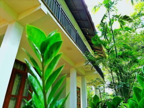 Hotel Dambulla Wilderness World