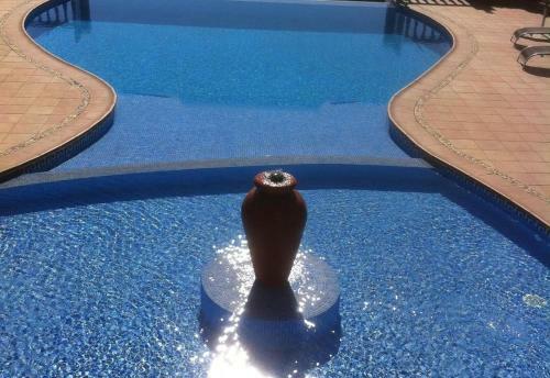 Villa With Infinity Pool Hot Tub