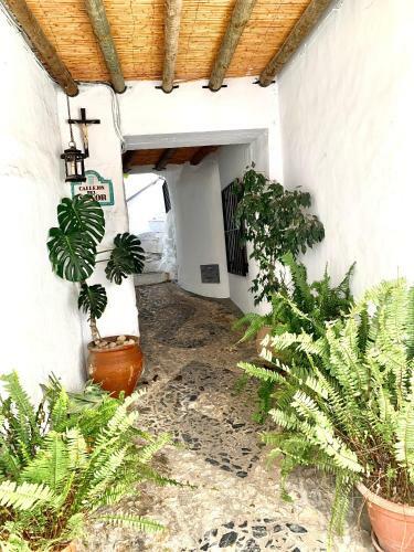 Agroturismo Casandalus�