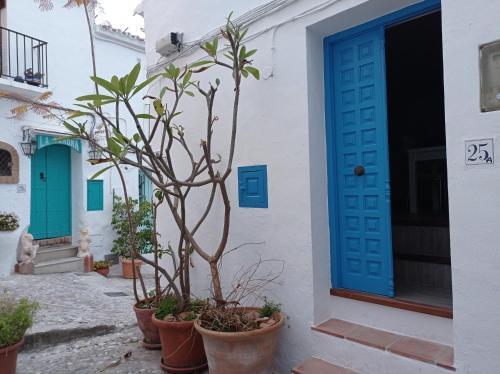 Casa Purica