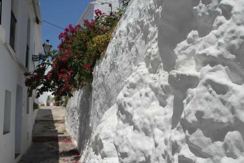 Algarab�