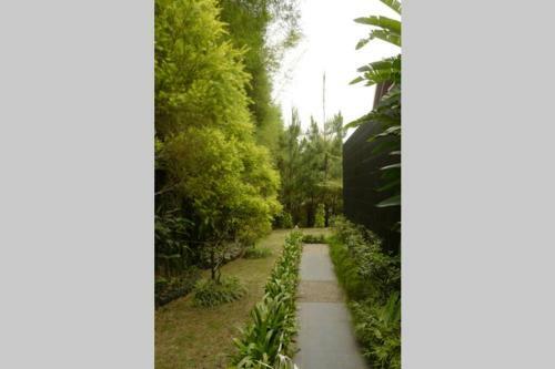 Villa The Pines Vimala Hills
