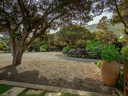 Las Sabinas Villa - El Guincho, Garachico