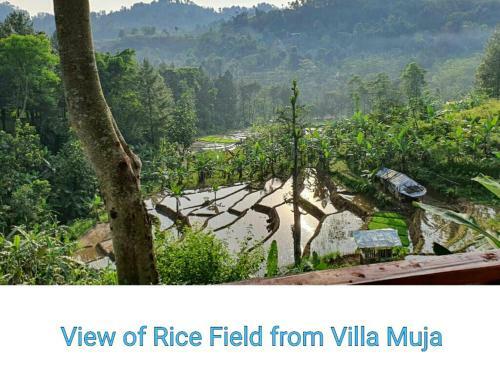 Villa Muja