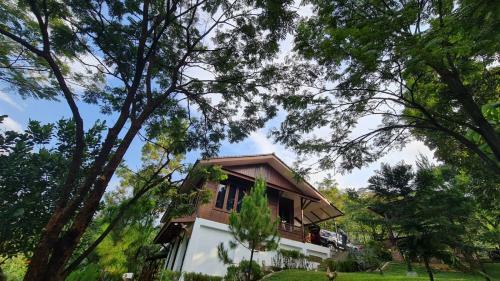 Villa Muja