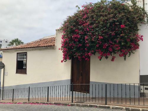 Apartamento Germ�n