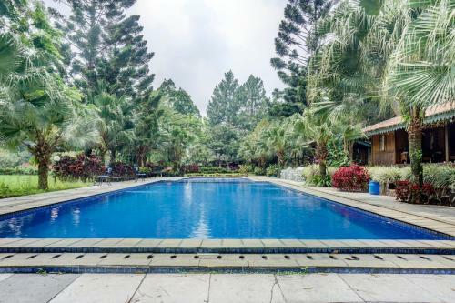 Hotel Oyo 90667 Katumbiri Resort