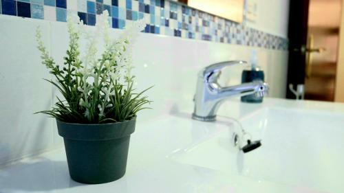 Apartamento Gea