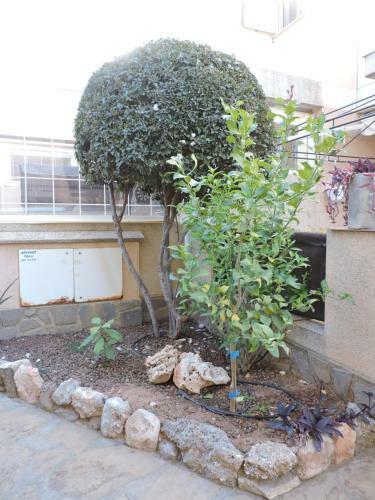 Apartamento D�plex Vera-garrucha
