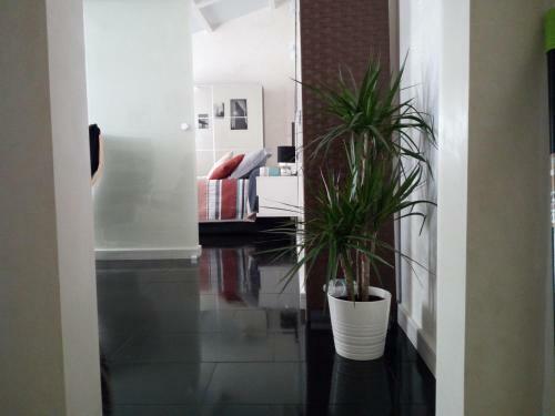 Apartamento El Patio De Catalina